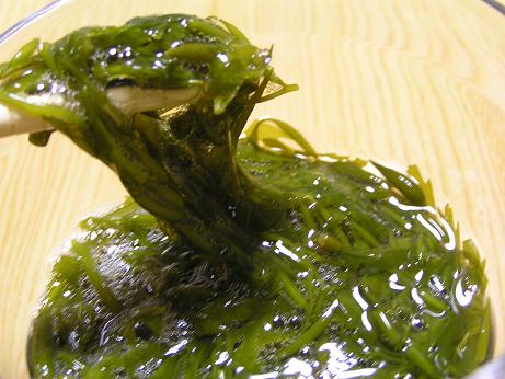 福岡で話題の海藻「アカモク」！栄養成分と効果を改めて調べて、ワカメと比較してみた