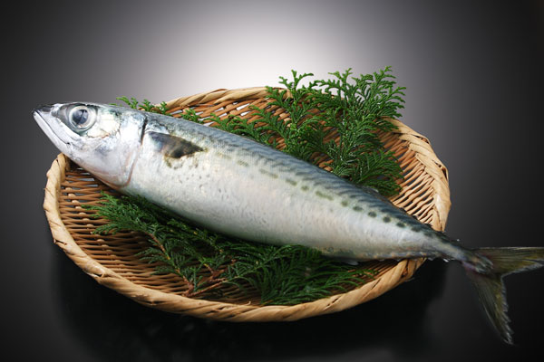 熟成魚？福井県郷土料理「へしこ」にそっくり、秋田の魚のぬか漬け！